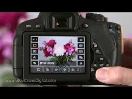 Pin On Samples Of Our Canon Videos