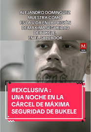 Celso Gamboa: Informantes de la DEA y su contraataque