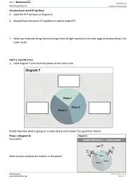 See in a set (9) view answers Animations Student Worksheet Hhmi Biolnteractive P Chegg Com
