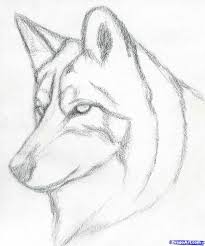 Husky Zeichnen Grossartige Zeichnungen Hund Zeichnen Wolf Zeichnung