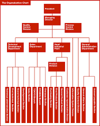 Company Profile