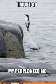 Penguin To The Rescue Funny Animal Memes Funny Animals Animal Jokes