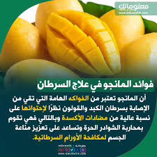 فوائد المانجو في علاج السرطان Mango Fruit Food