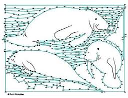 • each bulb shows the number of wires required to turn it on. Manatee Dot To Dot Connect The Dots Manatee Gentle Giant Mammals