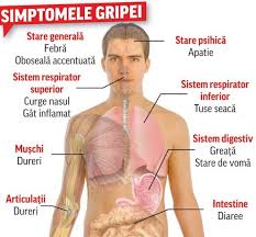 Mierea calmeaza iritatia in gat si poate fi folosita pentru ameliorarea tusei seci si pe timpul noptii. Tu Stii Care E Diferenta Dintre Raceala Si Gripa