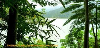 6 (section 6, perak state park corporation enactment. Pakej Hutan Royal Belum Myadventurehost