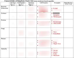 Characteristics Of Kingdoms Chart Diagram Quizlet