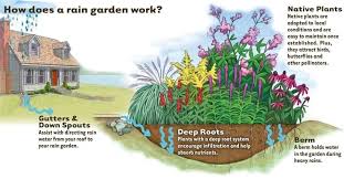 Rain Gardens In Howard County Md Rain Garden Rainwater Harvesting System Rainwater Harvesting