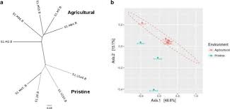 We make it our business to serve your family, and your home, the way we'd treat our own. Differences In Honey Bee Bacterial Diversity And Composition In Agricultural And Pristine Environments A Field Study Springerlink