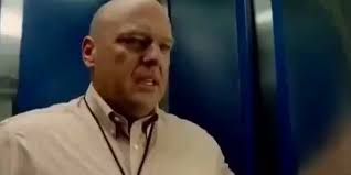 @schiz0lander's video Tweet