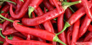 Take our quiz to find out! What Do You Know About Chili Proprofs Quiz