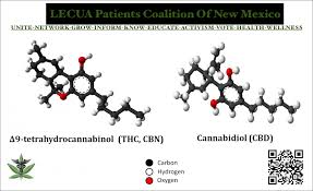 Lecua Nm Mcp Mcab Petitions Petition Post Concussion Syndrome Concussion And Traumatic Brain Injury Tbi
