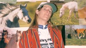 نتیجه جستجوی لغت [workhorses] در گوگل