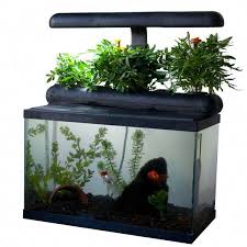 What Is Groponix The Groponix Natural Aquaponic System Is A Patent Pending Aquaponic Filter That Uses The Power O With Images Aquaponics Aquaponics Plants Aquaponics Fish