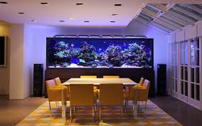 Huge Home Aquarium Aquarium Architecture Aquarium Design Home Aquarium