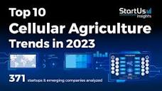 Top 10 Cellular Agriculture Trends in 2023 | StartUs Insights