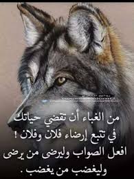 We did not find results for: Ø®Ù„ÙÙŠØ§Øª Ø°Ø¦Ø¨