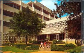 South florida is the southernmost region of the u.s. Florida Memory Library Patio At The University Of South Florida Tampa Florida
