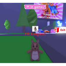 Aging up your pet in roblox adopt me is a pretty simple process, but it can take a while so it's helpful to know exactly how long this sort of thing might take. Fr Kangaroo Full Grown Adopt Me Roblox Shopee Singapore