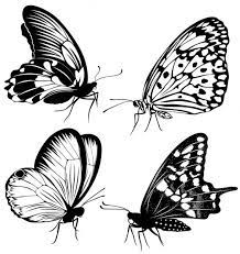 Conjunto Negras Mariposas Blancas De Un Tatuaje Ilustracion De Stock Mariposa Blanca Silueta De Mariposas Ilustracion Vectorial