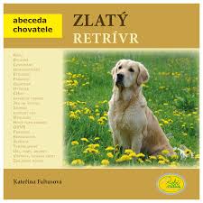 Image result for zlatý retrívr