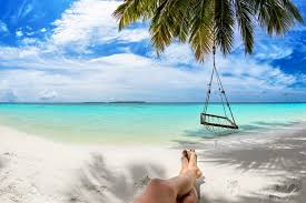 Holiday synonyms, holiday pronunciation, holiday translation, english dictionary definition of holiday. The Endless Summer Holiday Hacker My Holiday Centre Blog
