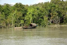 Understanding Sandeshkhali And Its Past Linkages - The Indian Tribal