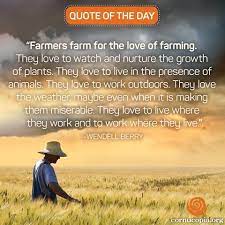  11 Wendell Berry Quotes Ideas Wendell Berry Wendell Berry Quotes Quotes