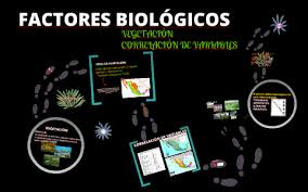 (cano, 2002) * exceso y falta de trabajo. Factores Biologicos By Rebeca Hernandez On Prezi Next