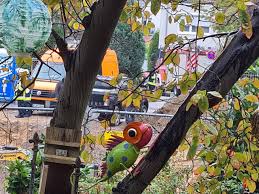 Bombe In Essen Die Bombenentscharfung In Frohnhausen Im Ticker Radio Essen