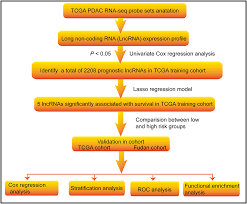 Frontiers A Long Non Coding Rna Signature To Improve