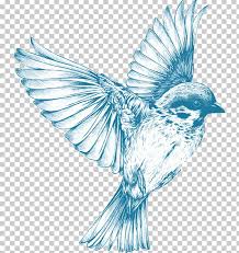 Let your creativty flow in these drawing games! Bird Drawing For Girls Sketch Png Clipart Animals Barn Swallow Beak Bird Bird Flight Free Png