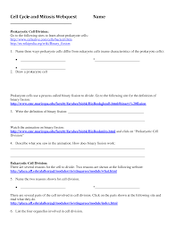 Mitosis and meiosis webquest part b answer key. Https Jenniferselfridge Weebly Com Uploads 1 1 0 3 110312169 Cell Cycle And Mitosis Webquest 3 Pdf