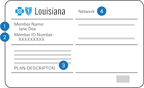 When bcbs members arrive at your office or facility, ask to see their current member identification cards at each visit. Group Care New To Blue Blue Cross And Blue Shield Of Louisiana