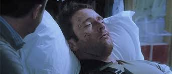 British open, nba finals vie for watch time, ad impressions. Whump Galore Hawaii Five 0 Steve Mcgarrett Updated