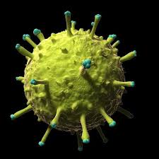 Look Under The Microscope Deadly Viruses Look Absolutely Stunning With Images Microscopic Photography Microscopic Electron Microscope