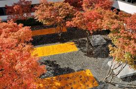 Freianlagenplanung Philosophisches Institut Innenhof West Jogu Mainz Landschaftsplanung Landschaftsdesign Gartenarten