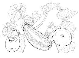 No nosso site você encontra uma grande variedade de desenhos para colorir e imagens para. Coloring Page Definir Alguns Legumes