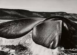 De joana pinheiro e rodrigo coelho. Sebastiao Salgado Artist News Exhibitions Photography Now Com