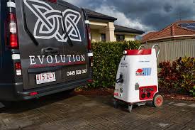 These insects have a small dark oval body, with varying color. Carpet Cleaning Evolution Carpet Cleaning And Pest Control