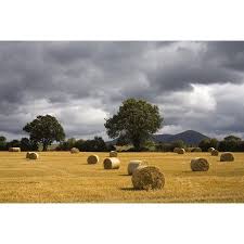 Each provides useful history of the respective counties as well as lists of office holders, farmers, traders, and. Clogheen County Tipperary Ireland Hay Bales In Field Canvas Art Richard Cummins Design Pics 34 X 22 Landscape Pictures Landscape County Tipperary