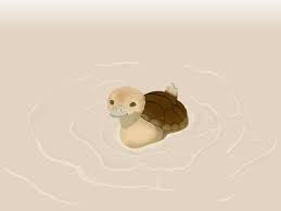 I Drew A Turtle Duck Thelastairbender Find and save images from the avatar quotes collection by princess azula (zuko_turtle_duck) on we heart it, your everyday app to get lost in what you love. i drew a turtle duck thelastairbender