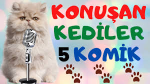 He2uqpi6t Askm