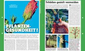 Pflasterarbeiten Selber Machen Selbst De Pflanzen Teichpflege Wasser Im Garten