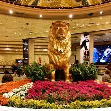 The northern hemisphere, actually, but since we don't exactly know what that means, we'll just go with in the u.s. The Mgm Lion In The Main Lobby Picture Of Mgm Grand Las Vegas Tripadvisor