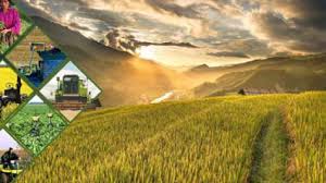 E Learning On Digital Agriculture Mooc World Bank Group