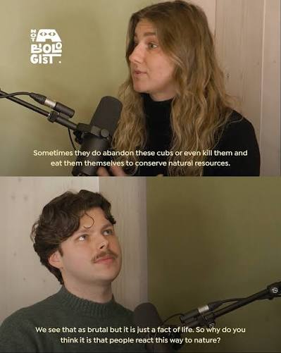 Terra Mater Studios 🎥 | Nature isn't always easy to understand🦁💔 In this  episode of Not a Biologist, we discuss why lionesses may sometimes make  heartbreaking... | Instagram