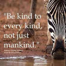 Pin On Be Kind To Animals