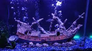 Aquarium resin decoration 30x10x16cm aqua nova. Top Fin Ship Aquarium Ornament Fish Ornaments Petsmart