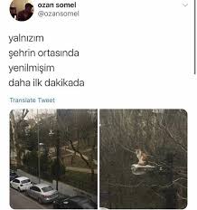 Cansu Adli Kullanicinin Z Memes Komedi Caps Panosundaki Pin 2020 Komik Bilgiler Komik Seyler Komik Capsler